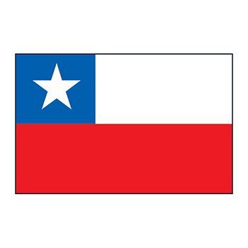 Chile Flag Design Water Transfer Temporary Tattoo(fake Tattoo) Stickers NO.12740