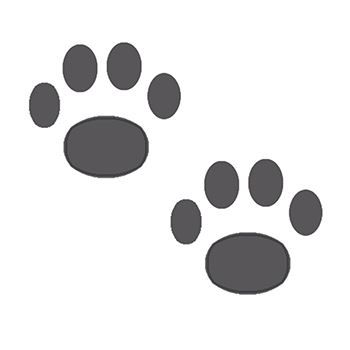 Two Paws Design Water Transfer Temporary Tattoo(fake Tattoo) Stickers NO.14970
